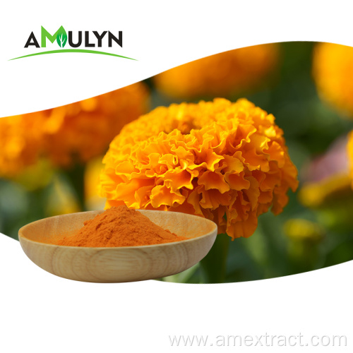 Pure natural marigold flower extract lutein powder